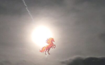 Neumond – Jahr des Feuerpferdes – Sonnenfinsternis 17.02.2026