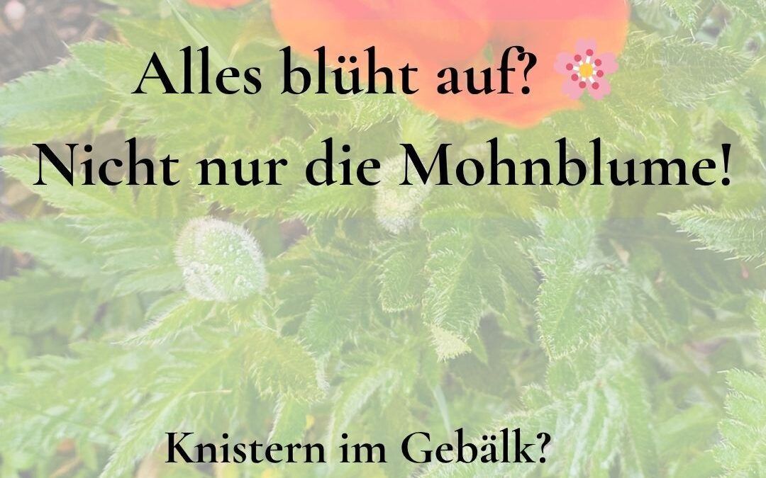 Wochenastrologie vom 18.05. – 23.05.2026