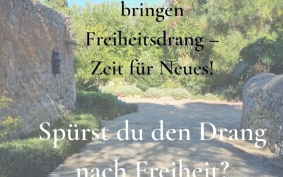Blick in die Wochenastrologie vom 20.07. -26.07.2026