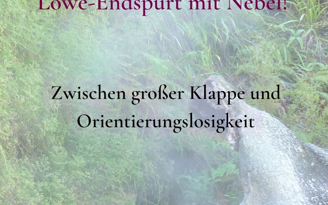 MutMacher Woche vom 17.08. – 20.08.2026