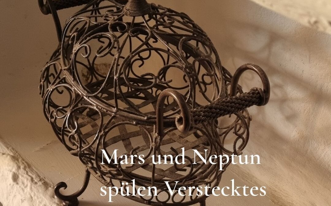 Dein MutMacher Blick vom 10.08. – 16.08.2026