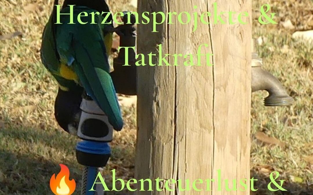 Dein MutMacher Blick der Woche  03.08. -10.08.2026