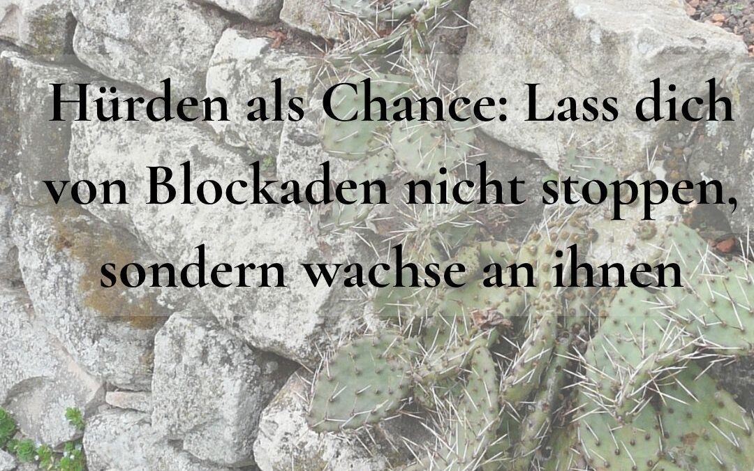 MutMacher Woche vom 30.08. – 06.09.2026