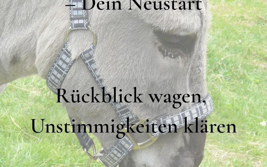 MutMacher Woche vom 07.09. -13.07.2026